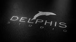 Delphis MG Works