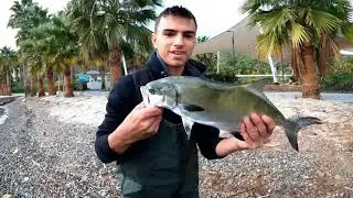 Marmaris LRF ile balık avı / çinekop ve liça(akya) avı