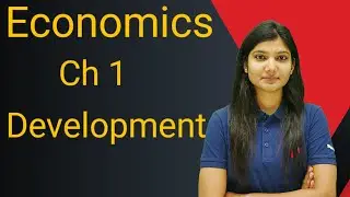 Development