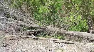 Алга Каракалпакстан. Нукус. Кегейли районы