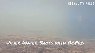 Under water shots #goprohero10 #gopro