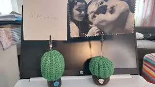 Cactus crochet, portanotas