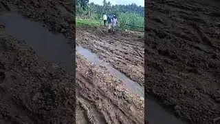 Going home from birthday