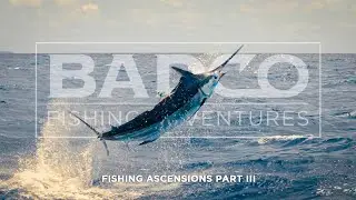 Fishing Ascension Island Part 3: The Bite We Came Here For!