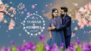 wedding motion poster