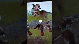 cant stop reposting ECOSSSS im bug fan 