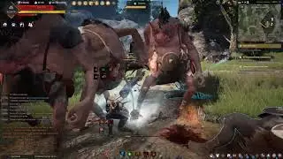 Black desert online прохождение. Фурия - навыки. часть 1