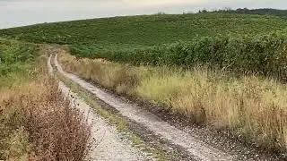 Zöld szeptember (Green September) - Eger