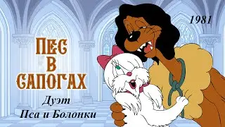 Пёс в сапогах. Дуэт пса и болонки.