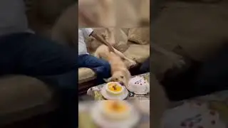 Когда очень хочется торт, но нельзя