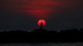 ملاجئ الموسيقى | Music Refuges