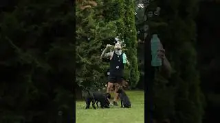 Какие-то чайки за кадром кричат😂 