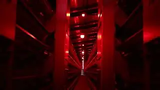 Special poultry Lighting for layer chickens