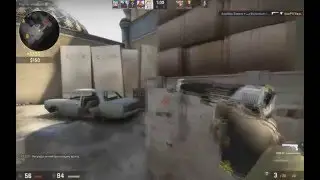 CS:GO  bleat parrot