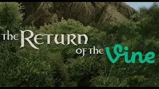 Lord of the Rings as Vines
