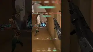 Absolute BODYSHOT BARRY Moment XD 