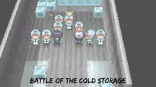 Pokémon white randomiser: Battle of the cold storage