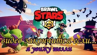видео закончится если... Я увижу шелли