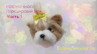 Мастер- класс йоркширский терьер. Часть 1