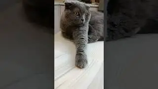 Хозяйственная 😂 