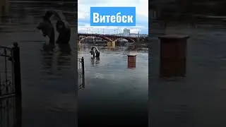 Паводок усиливается: в Витебске подтоплена набережная 