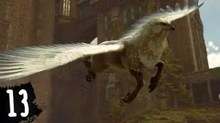 Feeding & Brushing a Hippogriff in HOGWARTS LEGACY (13)