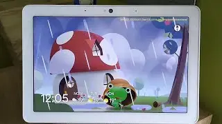 Google Weather Frog on Google Nest Hub Max