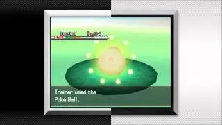 Pokemon Black Version Differences Trailer