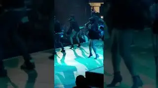 FANTASIA AT THE FAIR