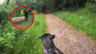 Top 15 Scary Videos That'll Bring Back Your Bedtime Prayers