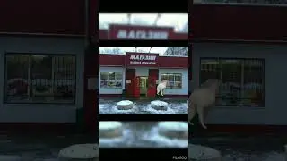 Мой путь за хлебом #анимация #мем #жиза #shorts