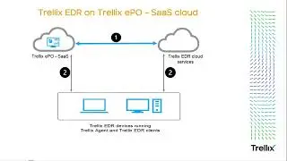 Endpoint Detection and Response - Installation on Linux and Mac