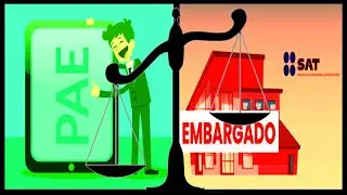 ¿Qué es el P.A.E? Procedimiento Administrativo de Ejecución