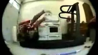 Haftanın en komik videoları!