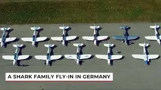 Shark Family Fly-In, Germany