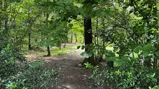 Eggerslack Wood and Lime Kiln Wood