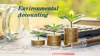 Environmental accounting