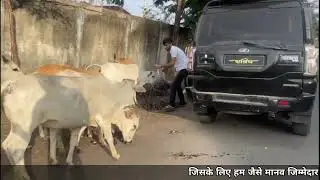 gau bhoj bilimora