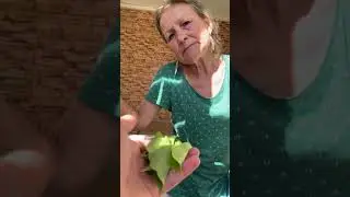 Социальный пранк - купил мороженое за листья 