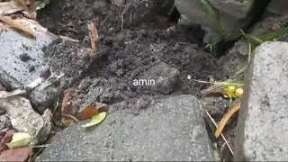padamu negeri