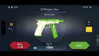 Opening 20 Pistol Cases