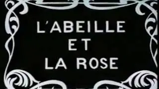 Silent Film - L'abeille et la Rose