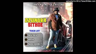 DZUNUKA SITHOE-Bayethe (Official Audio)