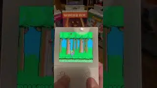 Analogue Pocket - Wonder Boy - Game Gear / FPGA Core