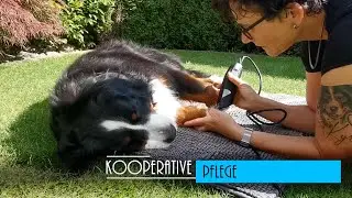 Kooperative Pflege