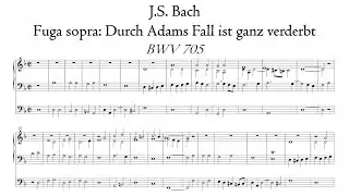 Bach - Fuga sopra 'Durch Adams Fall ist ganz verderbt' BWV 705