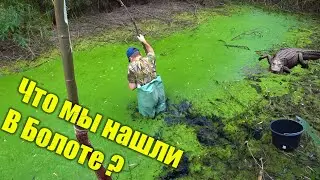Затянуло в БОЛОТО с Крокодилом. Ловля Вьюна!!!