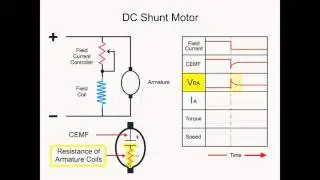 How DC Shunt Motor Works? (Working Principle)