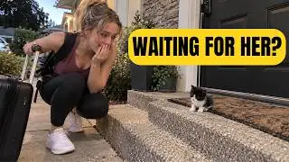 She Came Home From the Airport… and Found a Tiny Kitten Waiting at Her Door | Stray Kitten Rescue