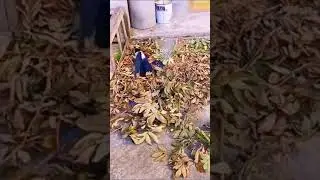 Супер ПОЖАРНЫЙ спасает ПАРК #shorts